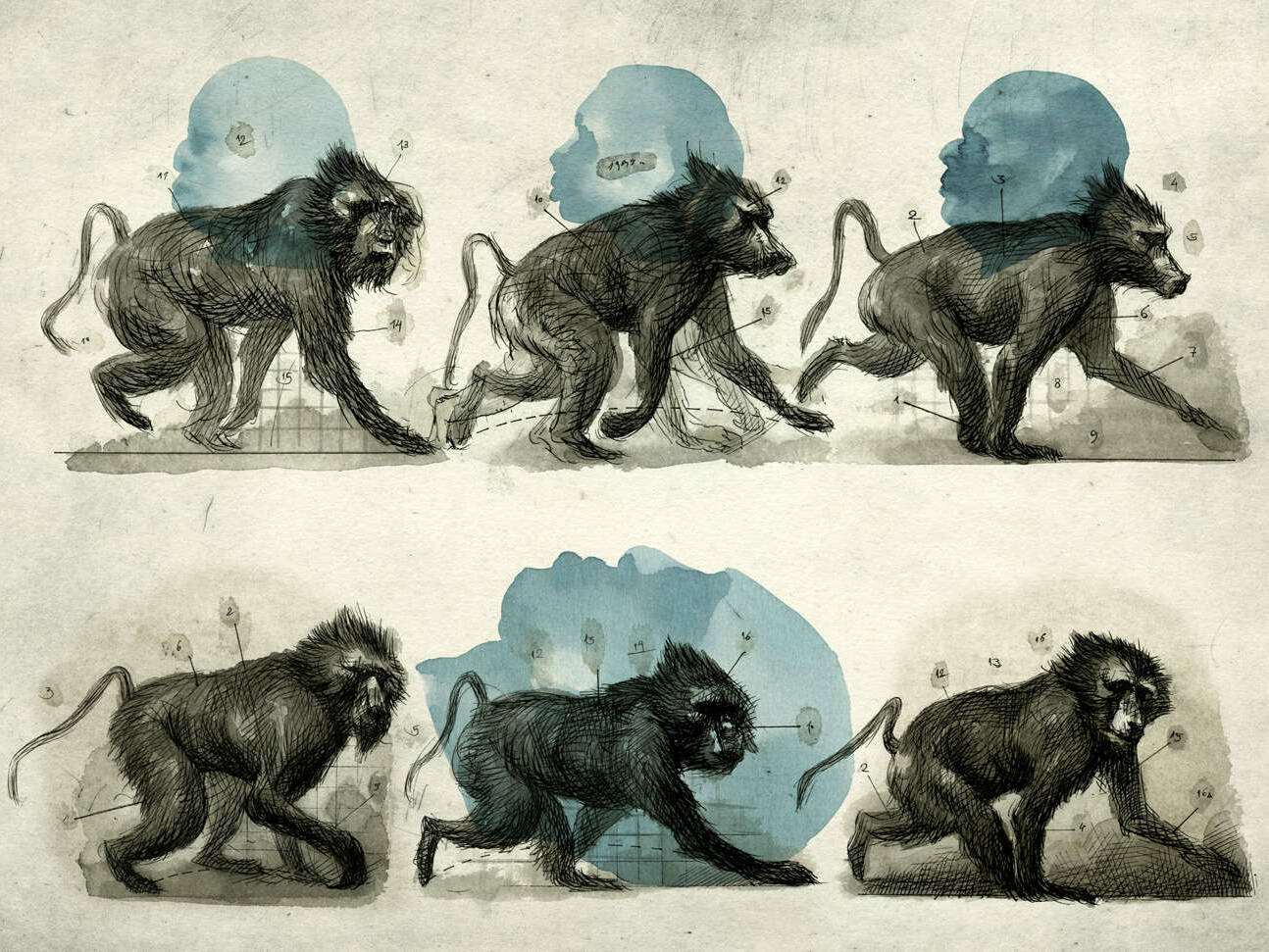 "Atlas des monstres connus et méconnus"