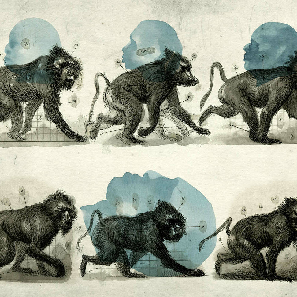 "Atlas des monstres connus et méconnus"